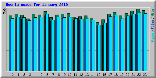Hourly usage for January 2019