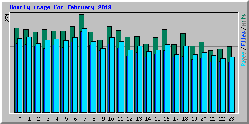 Hourly usage for February 2019