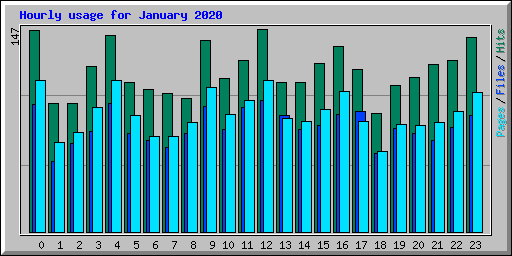 Hourly usage for January 2020