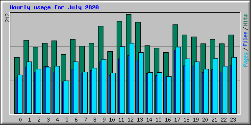 Hourly usage for July 2020