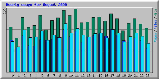 Hourly usage for August 2020