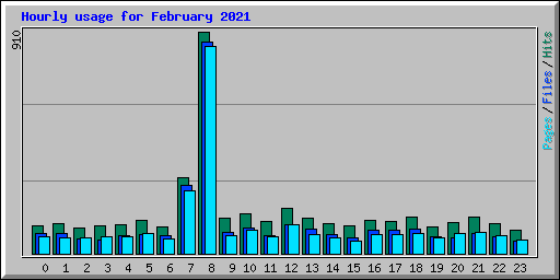 Hourly usage for February 2021