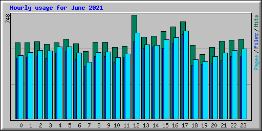 Hourly usage for June 2021