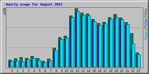 Hourly usage for August 2021