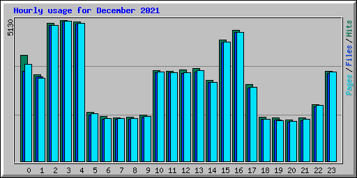 Hourly usage for December 2021