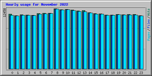 Hourly usage for November 2022