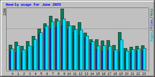 Hourly usage for June 2025