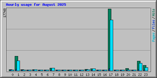 Hourly usage for August 2025