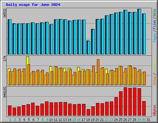 Daily usage for June 2024