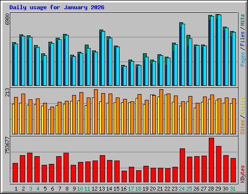 Daily usage for January 2026
