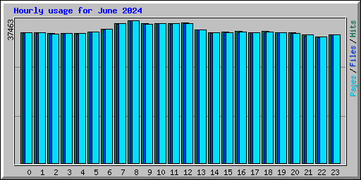 Hourly usage for June 2024