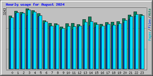 Hourly usage for August 2024