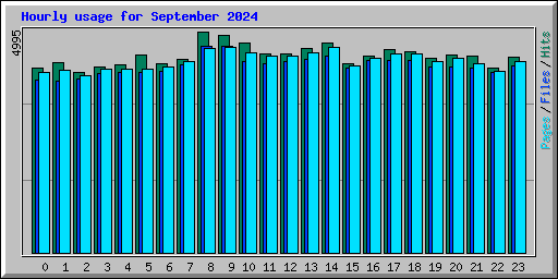Hourly usage for September 2024