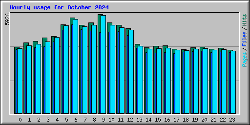 Hourly usage for October 2024