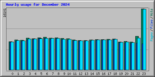 Hourly usage for December 2024