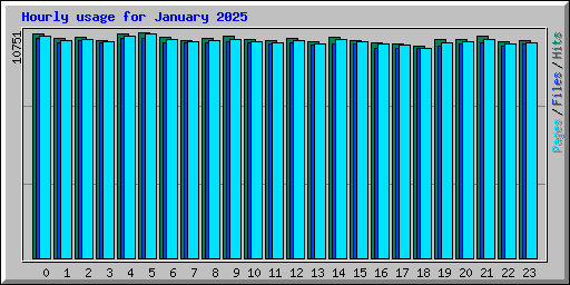 Hourly usage for January 2025