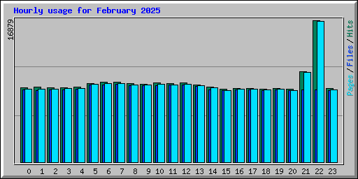 Hourly usage for February 2025
