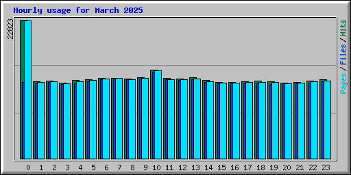 Hourly usage for March 2025