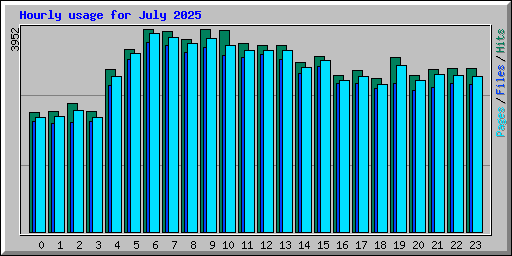 Hourly usage for July 2025