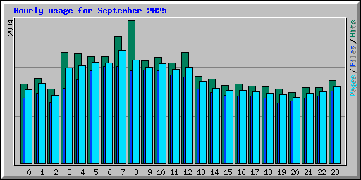 Hourly usage for September 2025