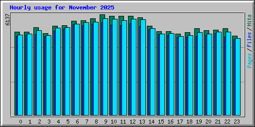 Hourly usage for November 2025