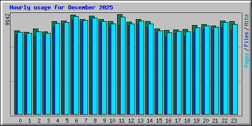 Hourly usage for December 2025