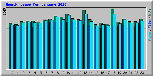 Hourly usage for January 2026