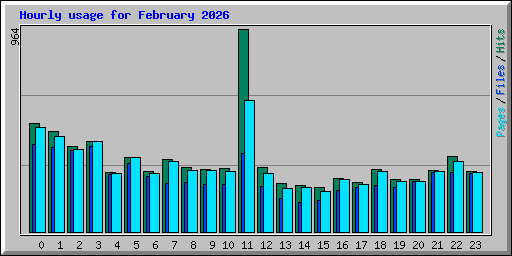 Hourly usage for February 2026