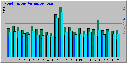 Hourly usage for August 2026